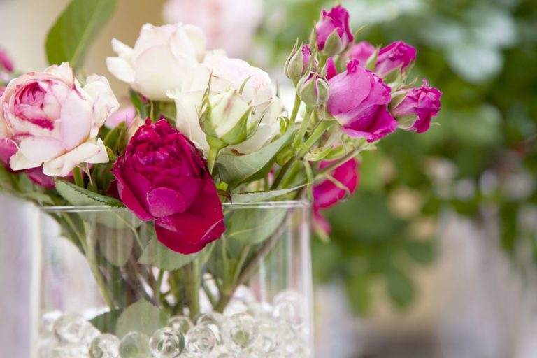 Sie suchen eine schöne Blumenvase? Schauen Sie sich unsere Empfehlungen an!