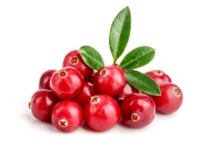 Eine Portion Cranberrys